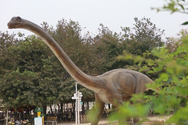 水上乐园恐龙主题布置出租_大型仿真机电恐龙制作批发