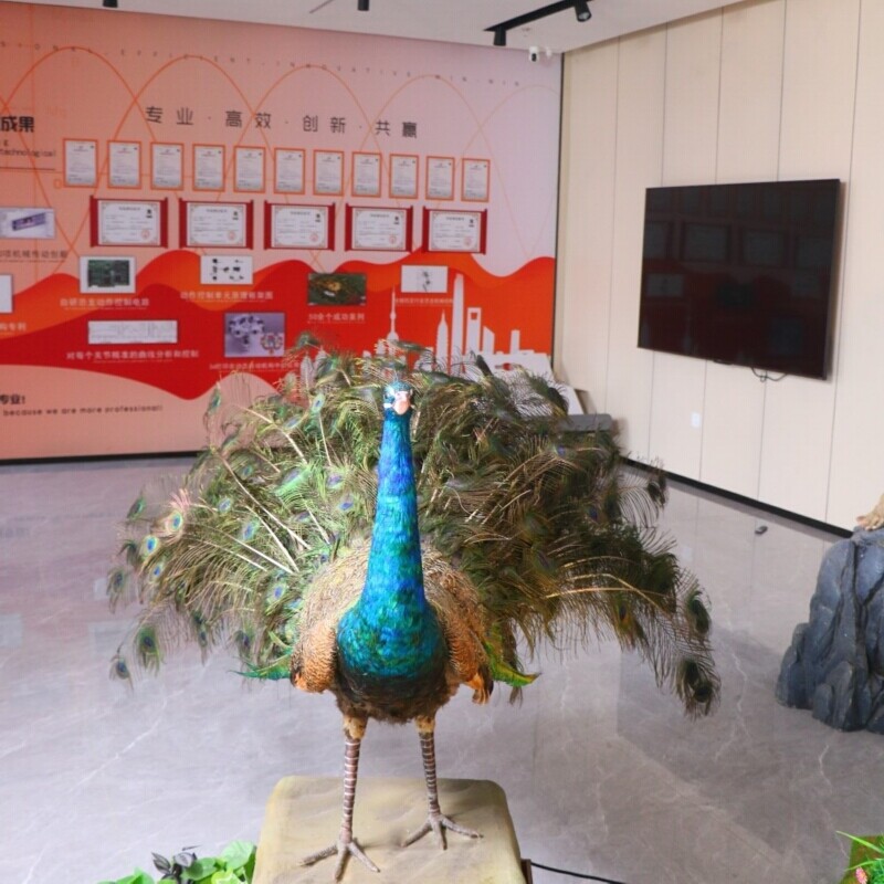 孔雀仿真动物造型产品