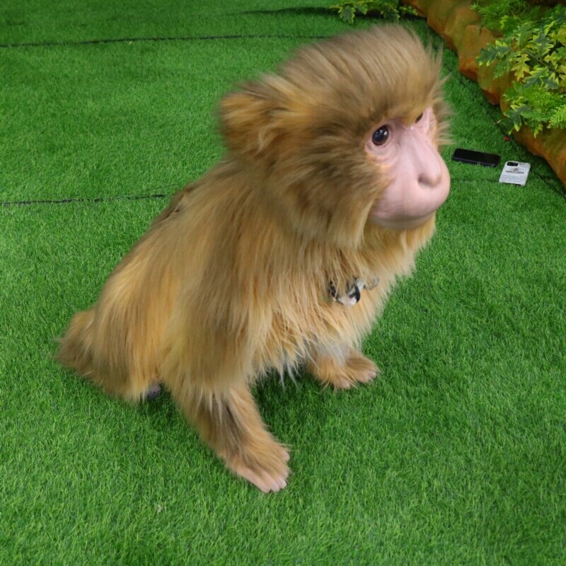 猴子机器狗造型