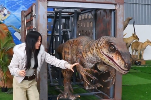 迅猛龙逃生笼